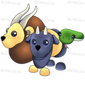 NFR Chimera