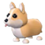 NFR Corgi