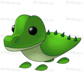 NFR Crocodile