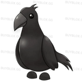NFR Crow