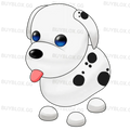 NFR Dalmatian