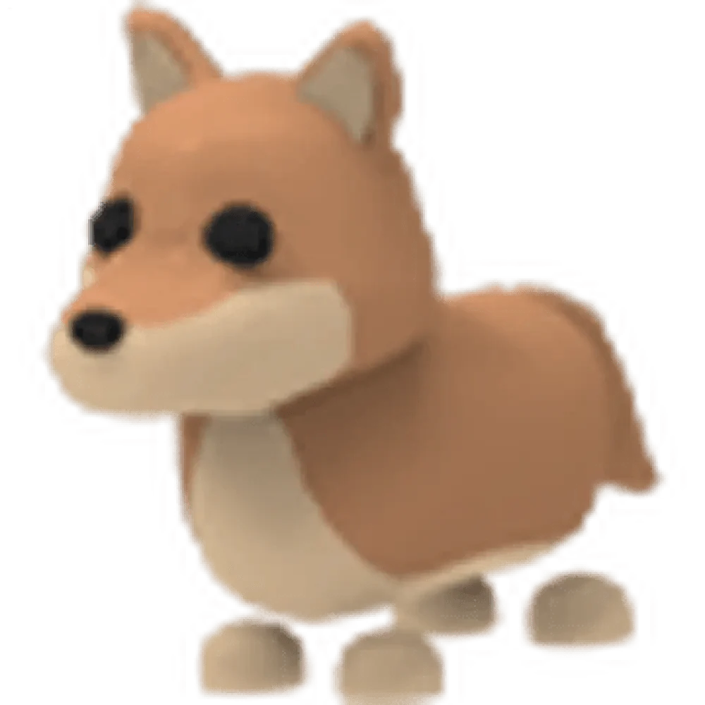 NFR Dingo