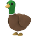 NFR Drake