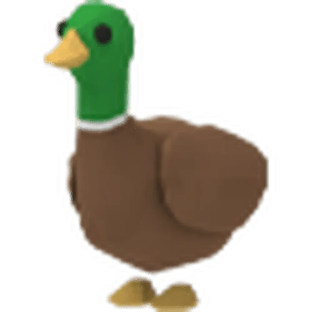 NFR Drake