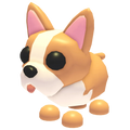NFR French Bulldog