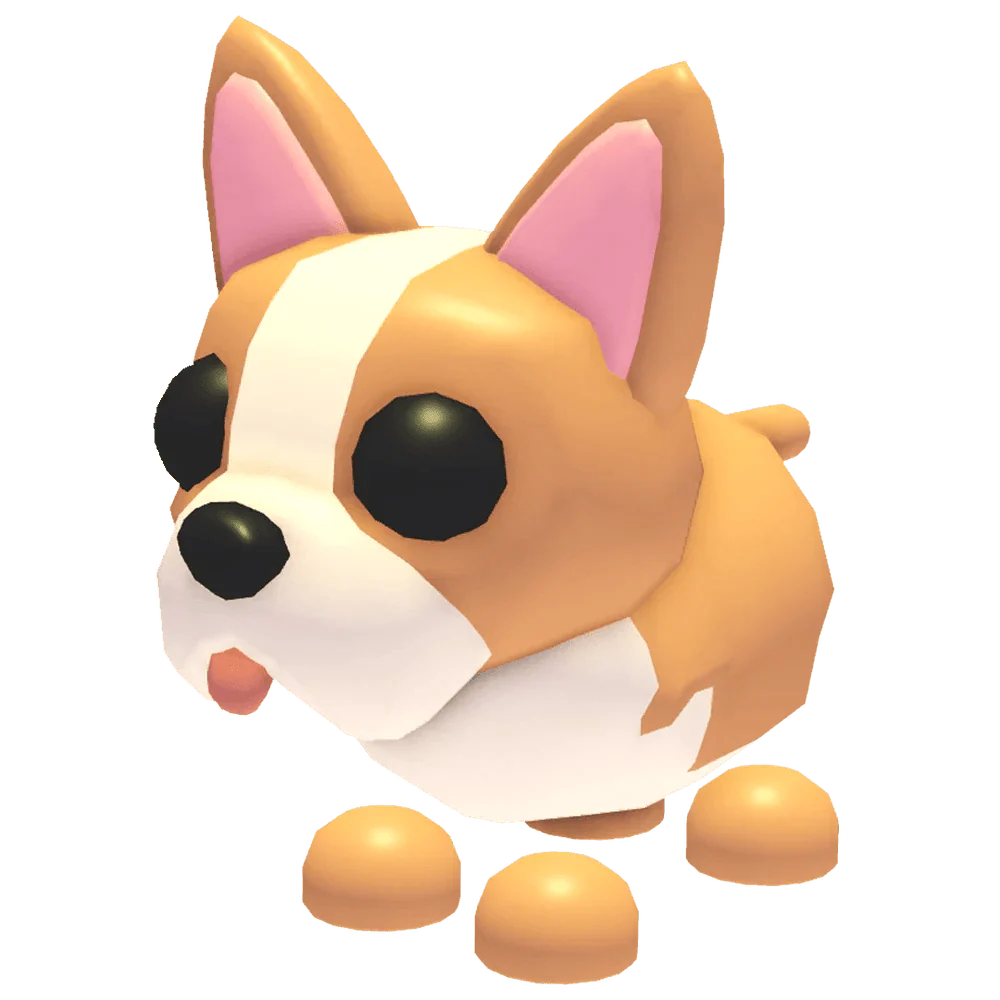 NFR French Bulldog