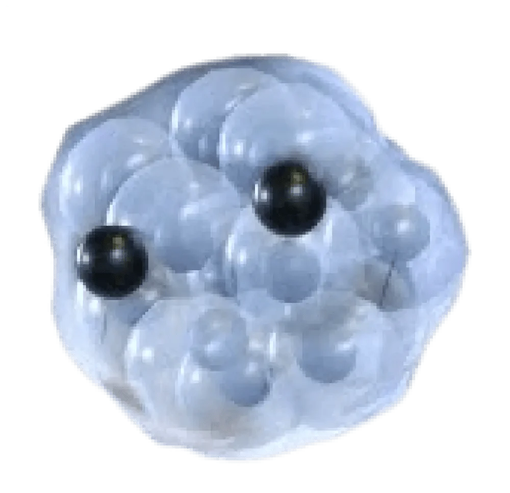 NFR Frogspawn