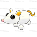 NFR Golden Rat