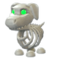 NFR Halloween White Skeleton Dog