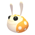 NFR Hopbop