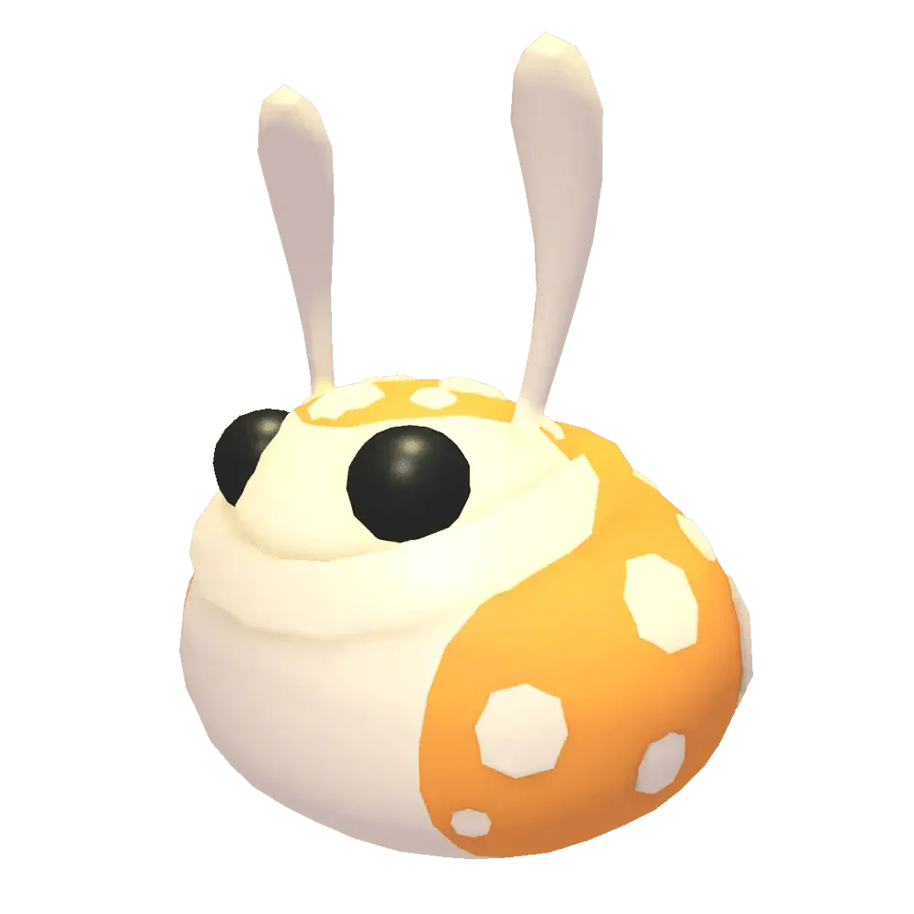 NFR Hopbop