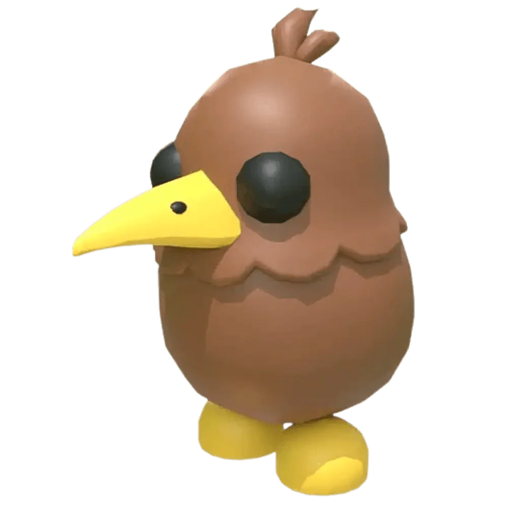 NFR Kiwi