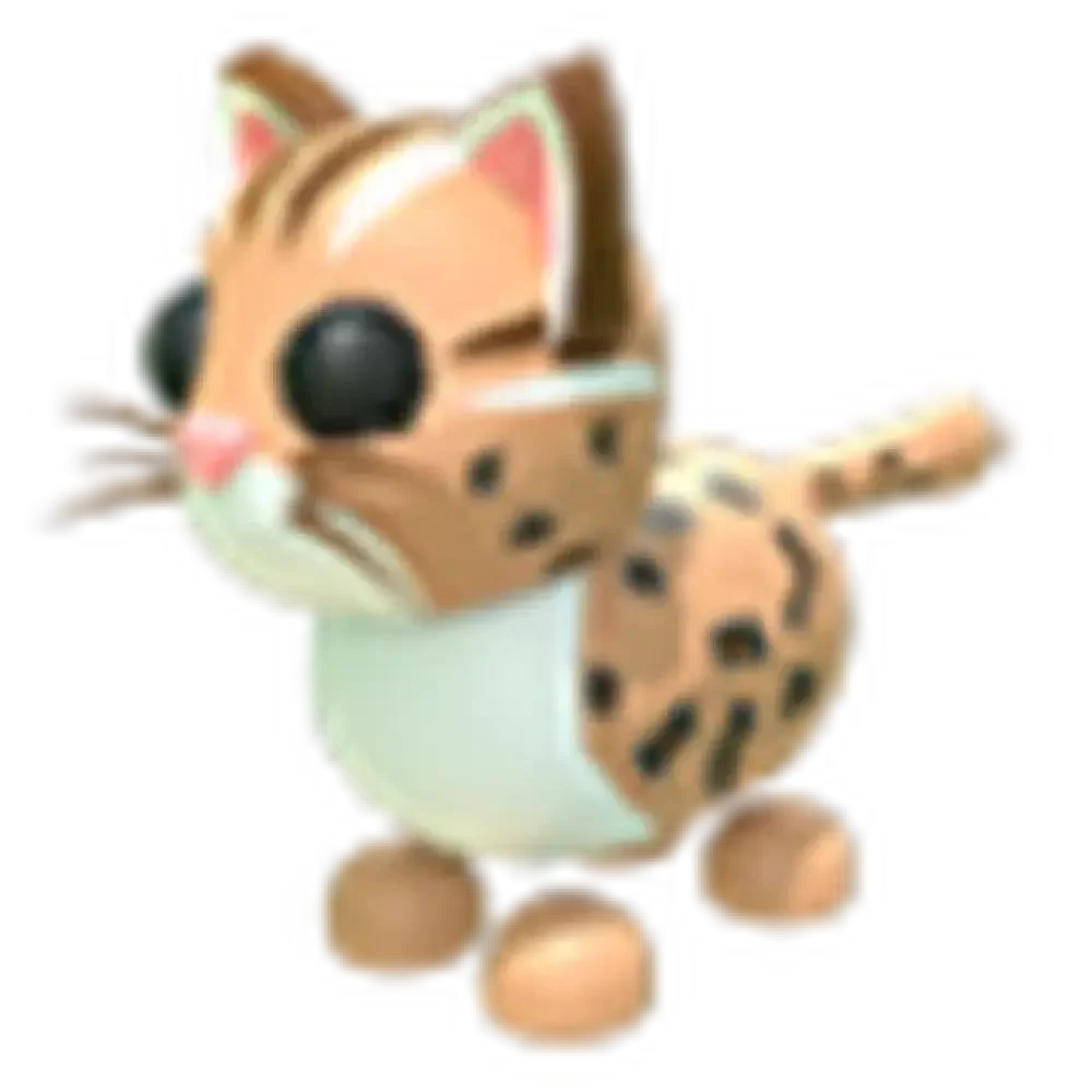 NFR Leopard Cat