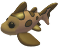 NFR Leopard Shark