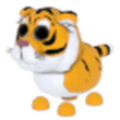 NFR Lunar Tiger