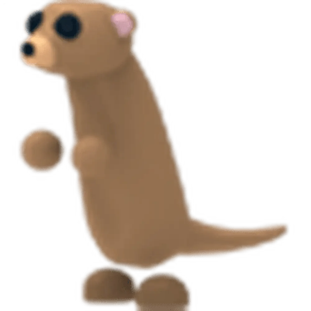 NFR Meerkat