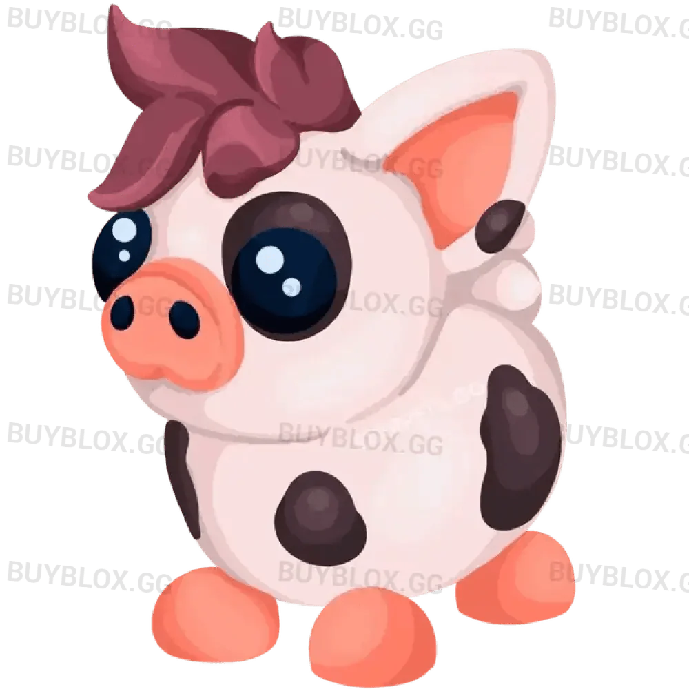 NFR Mini Pig