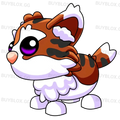 NFR Munchkin Cat