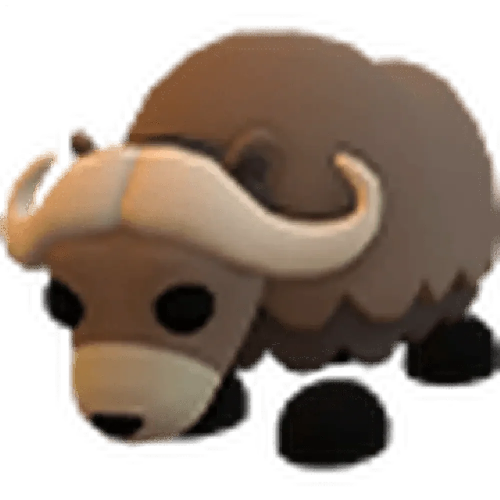 NFR Musk Ox