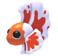 NFR Orange Betta Fish