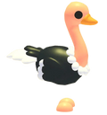 NFR Ostrich