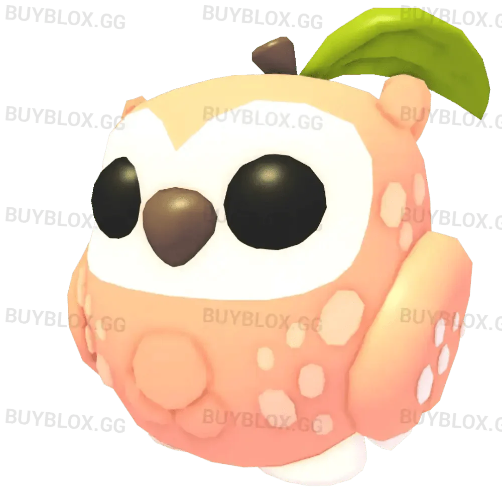 NFR Peach Owl
