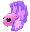NFR Pink Betta Fish