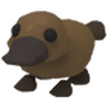 NFR Platypus