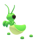 NFR Praying Mantis
