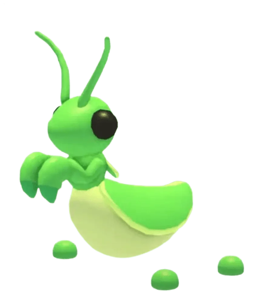 NFR Praying Mantis