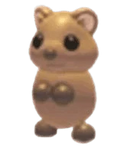 NFR Quokka