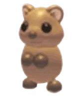 NFR Quokka