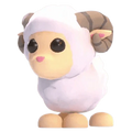NFR Ram