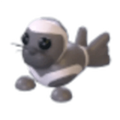 NFR Ribbon Seal