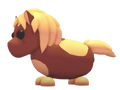 NFR Shetland Pony Dark Brown