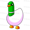 NFR Silly Duck