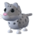 NFR Snow Leopard