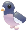 NFR Wood Pigeon