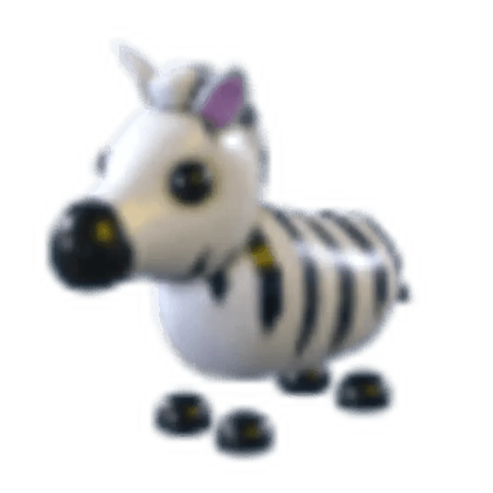NFR Zebra