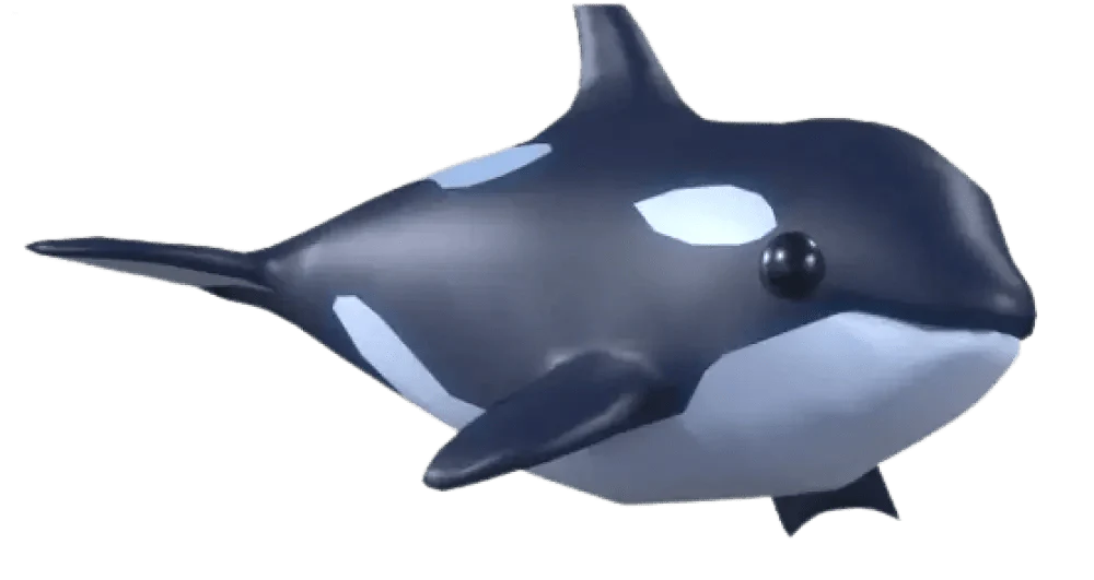 Orca