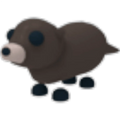 Otter