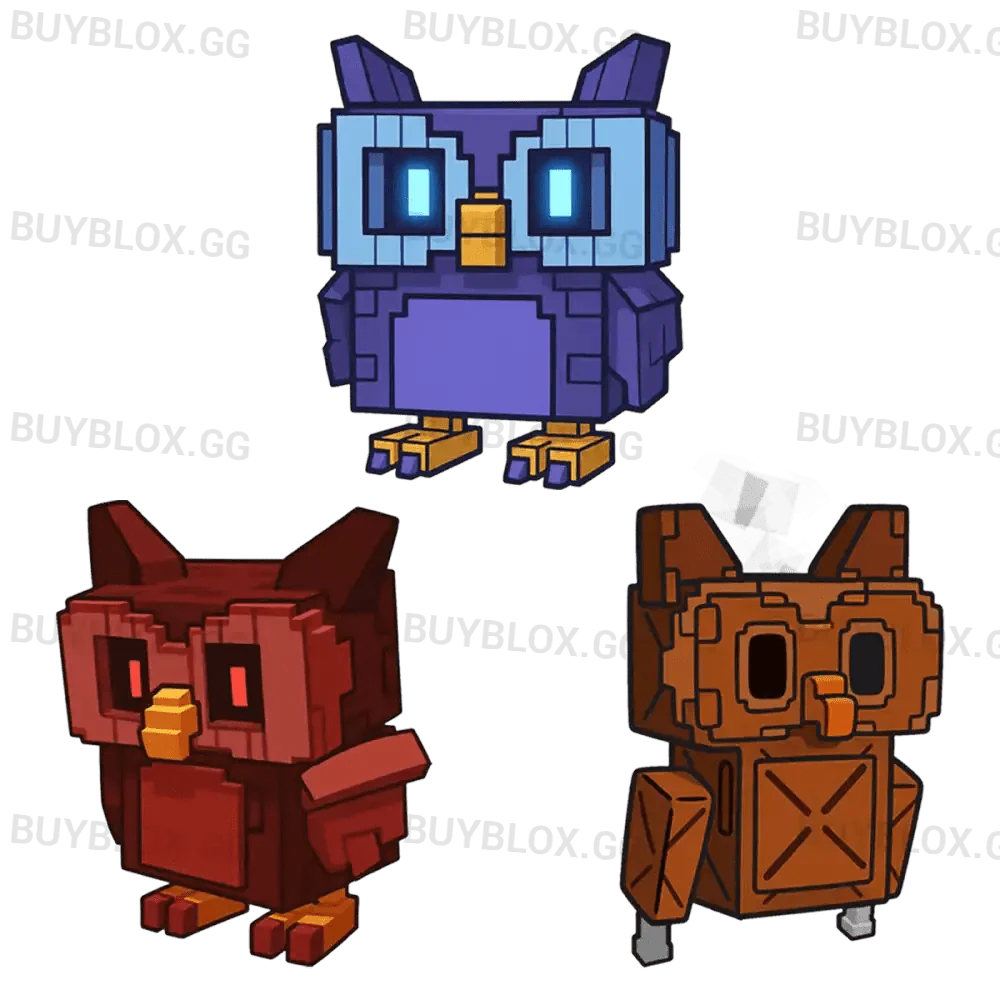 Owl Bundle