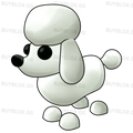Poodle