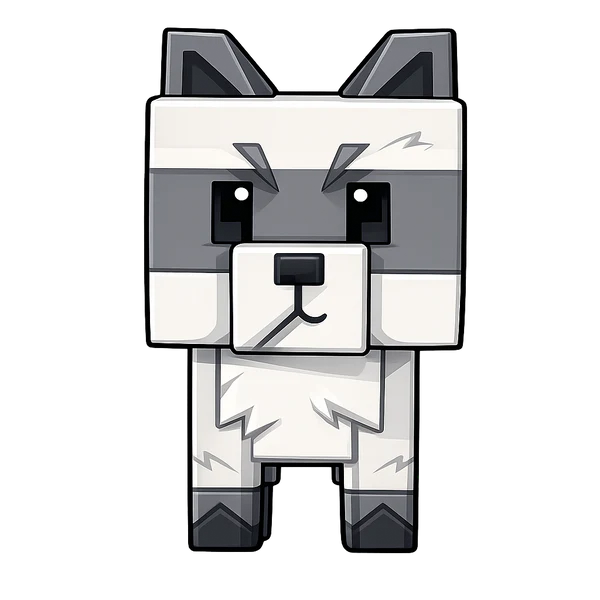 Raccoon