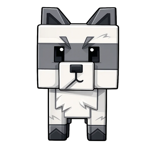 Raccoon