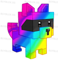 Rainbow Raccoon