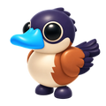 Ruddy Duck