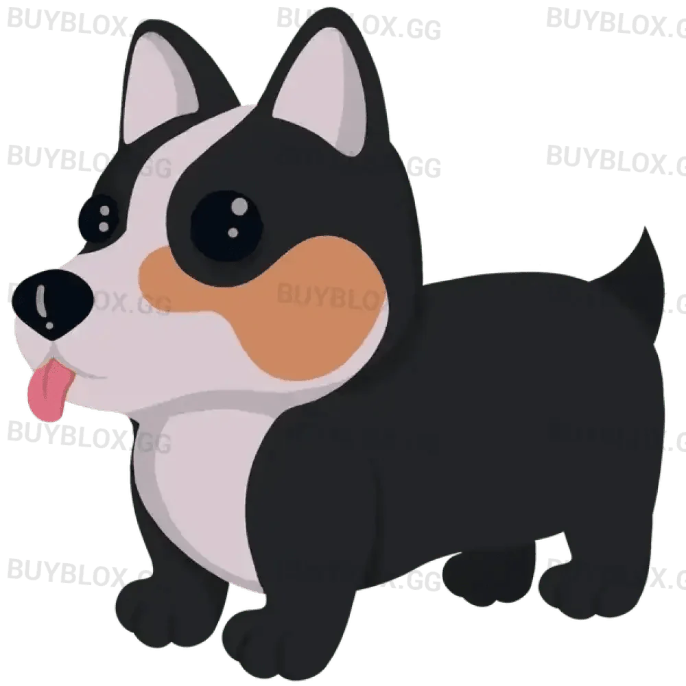 Royal Corgi