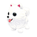 Samoyed