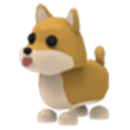 Shiba Inu